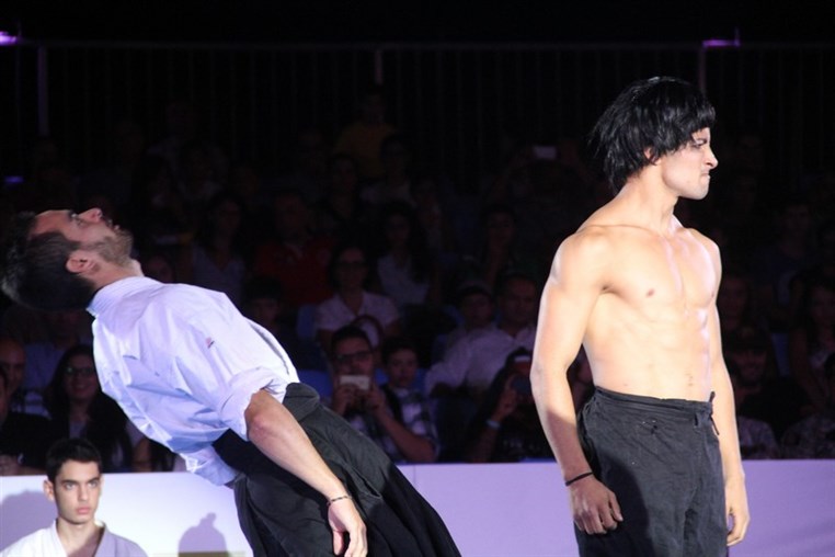 Martial Arts Festival